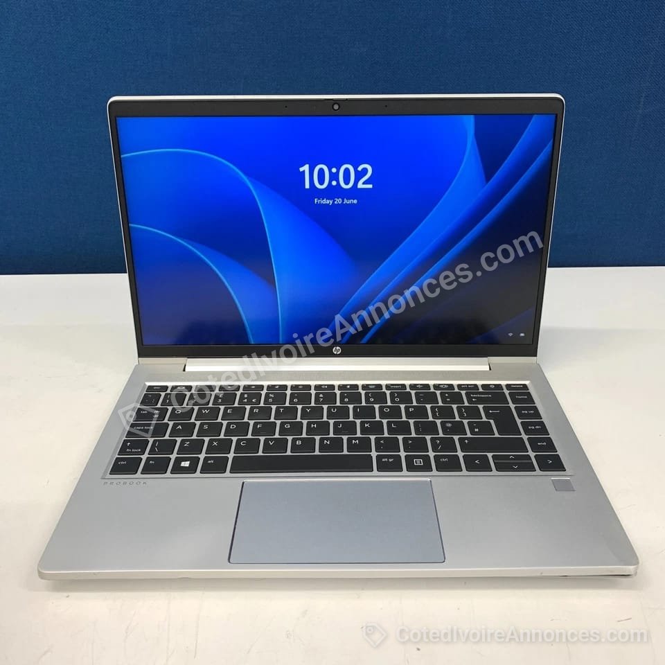 HP PROBOOK 445 G7 — Informatique à Abidjan