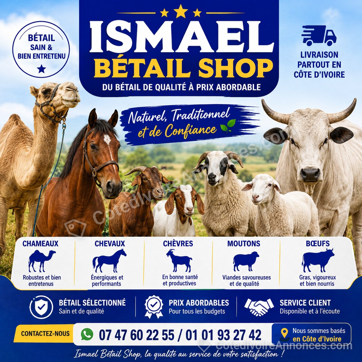 Vente de bétail (bœuf moutons cabri cheval chameaux) à Abidjan