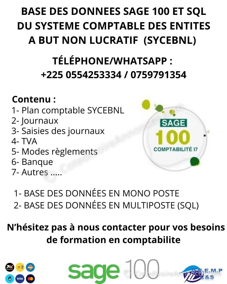 FICHIER OU BASE DES DONNEES OPERATIONNELLES SAGE 100 COMPTABILITE SYCEBNL — Services à Abidjan