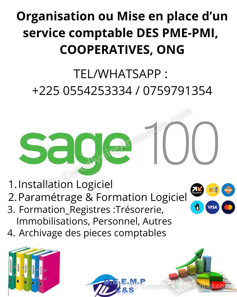Organisation et mise jour d'un service comptable (SYSCOHADA OU SYCEBNL) — Services à Abidjan
