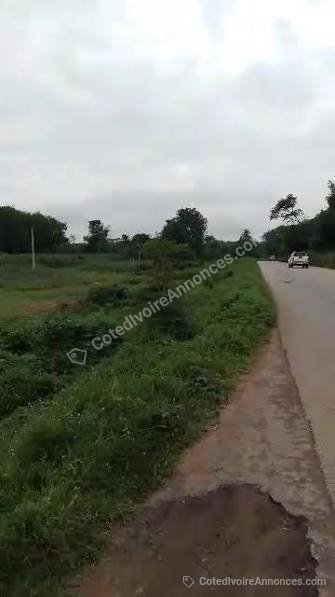Vente exceptionnelle d'un terrain bien situé à Brofodoumé route d'alepé à Abidjan