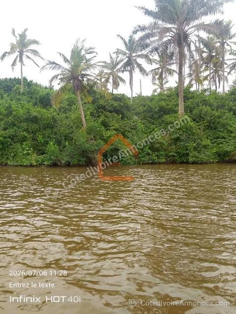 Opportunité Agro-industrielle à Guitry Divo à Yamoussoukro