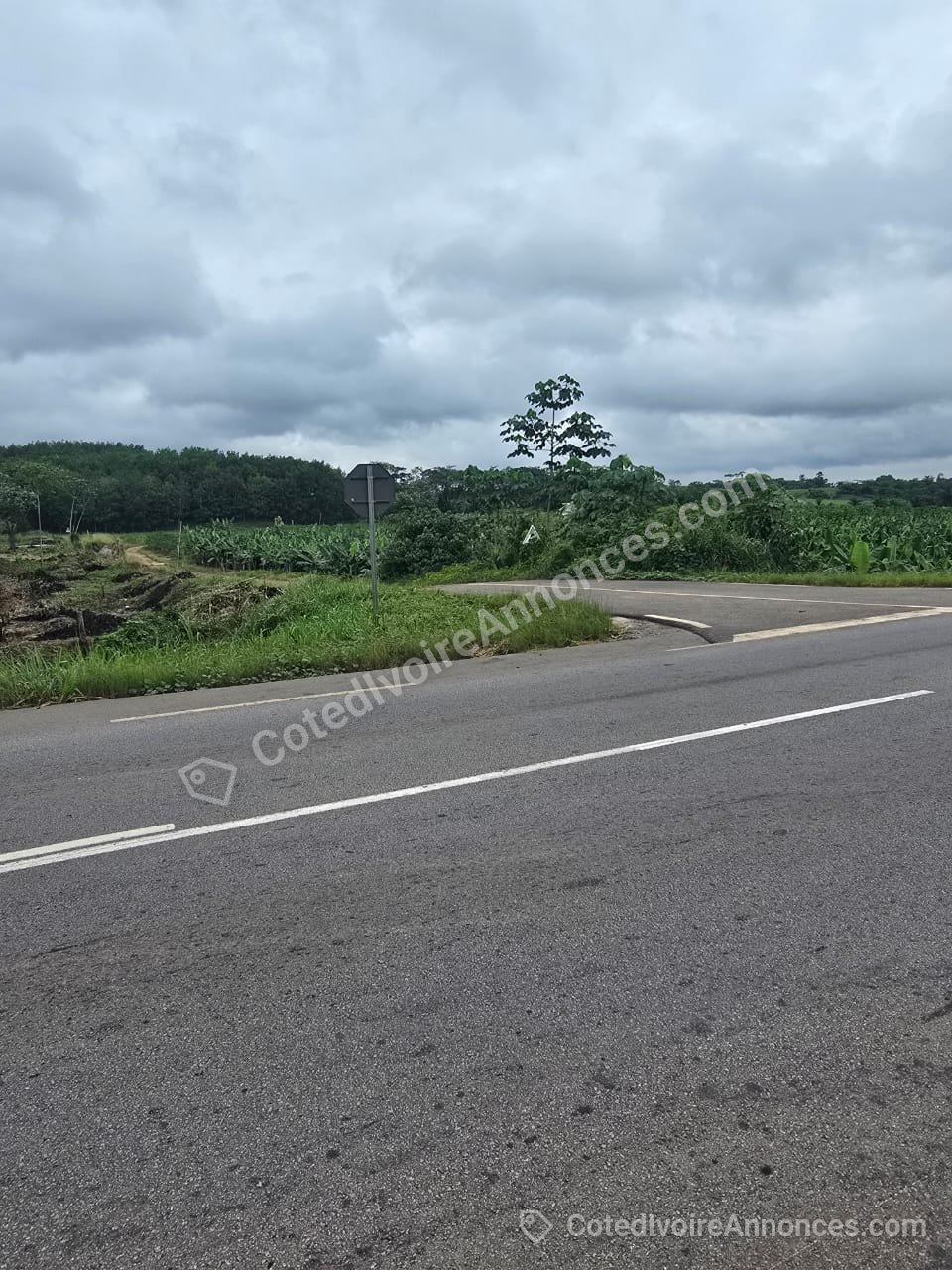 Grande opportunité immobilière en bordure de voie à Azaguié thamassé à Abidjan