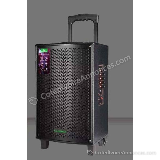 Bluetooth Trolley Speaker SP-803 - 1 Micro - BT/USB/FM - 40W — photo 1