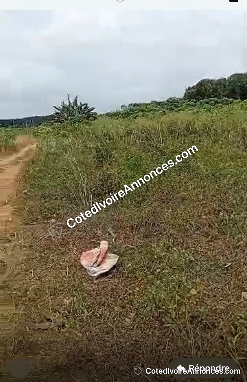 Térrain à Abidjan