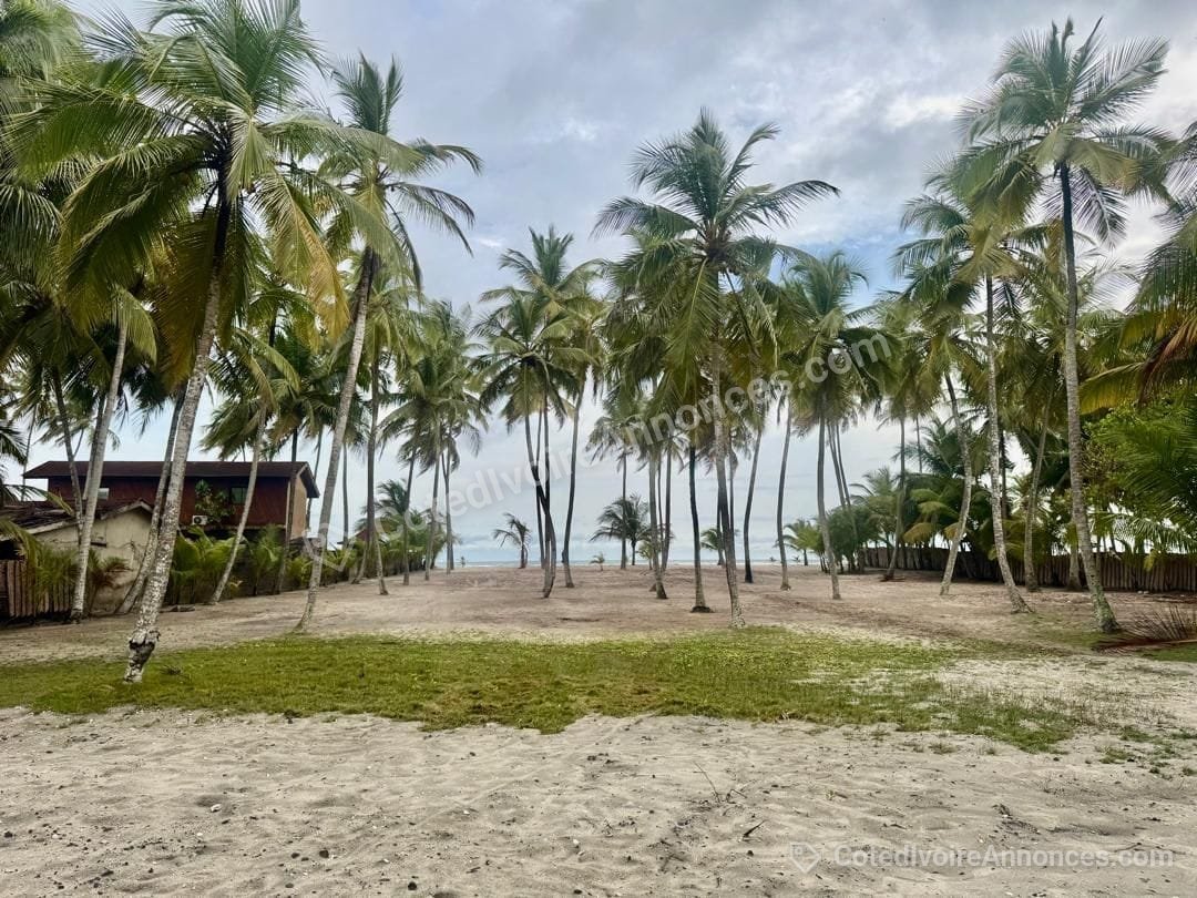 Assinie Mafia, terrain de 600m2 à 6 millions à Grand-Bassam