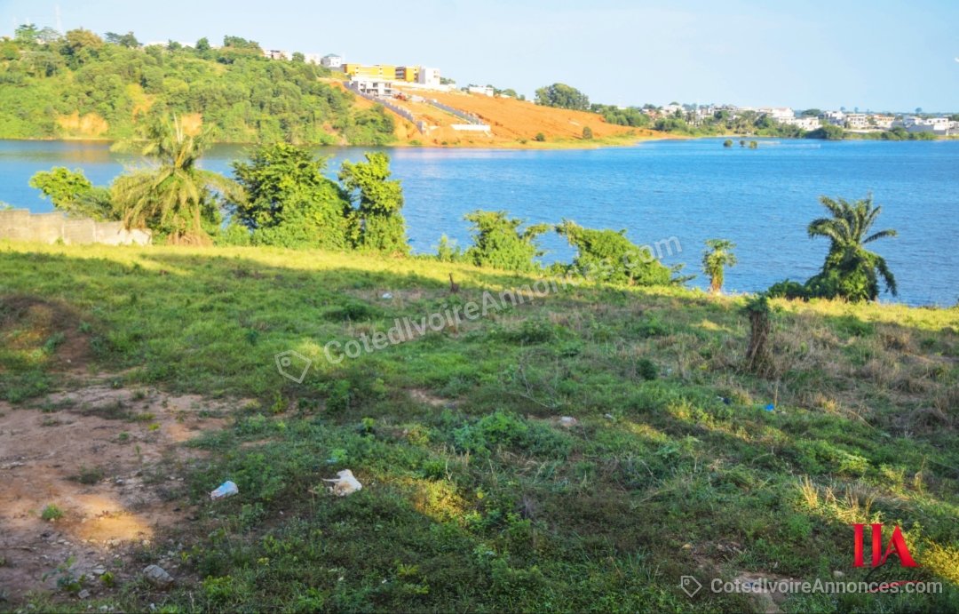 En vente a la Riviera 4 M Badon un terrain de 3000 m2. — Immobilier à Abidjan