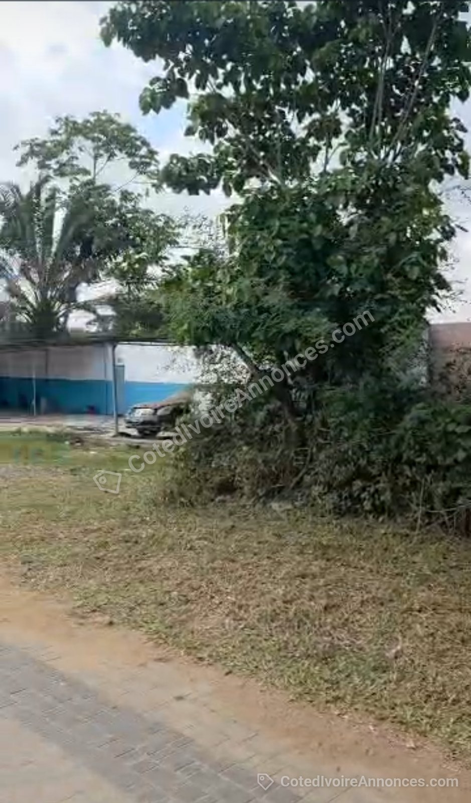 En vente Terrain de 2000m2 situé à la Riviera 4 — Immobilier à Abidjan