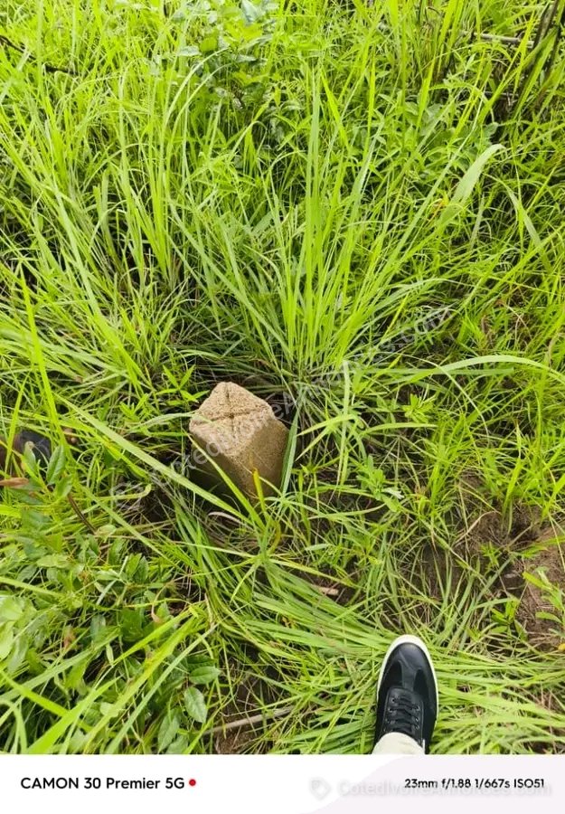 LOT de 500 m² à Bouaké