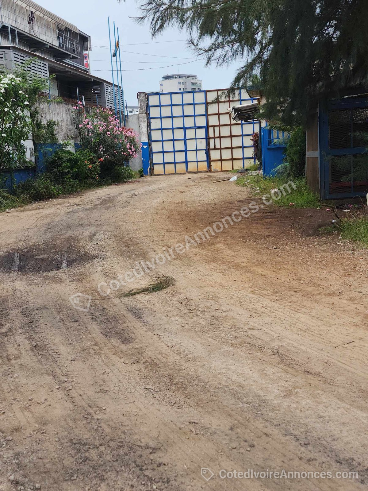 A LOUER TERRAIN 5000 M2 DISPONIBLE EN ZONE 4 — Immobilier à Abidjan