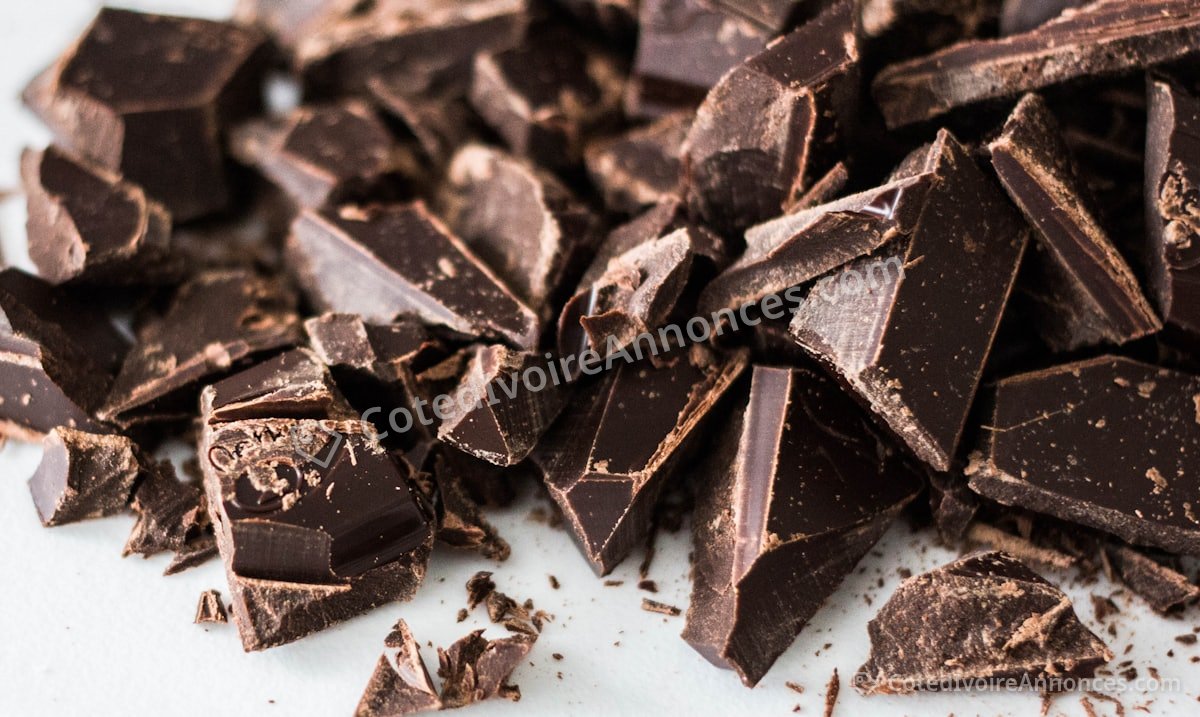 Sac de cacao séché — récolte 2026 à Daloa